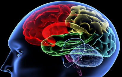 Jeste li znali da vaš mozak ima svojevrsnu tipku za brisanje?