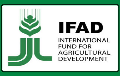 Projektom IFAD asfaltirat će se putevi, izgradit hladnjače i biznis centar