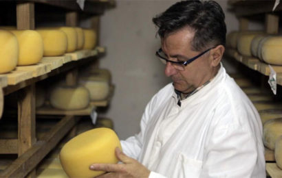 Livanjska mljekara jača proizvodnju sira od domaćeg ovčijeg i kozijeg mlijeka