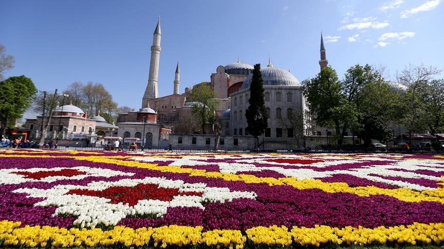Istanbul: Na trgu Sultanahmet izložen ”ćilim” od 564.000 tulipana