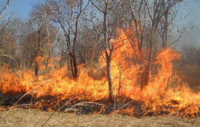 ZDK: Upozorenje građanima na opasnost od izazivanja požara