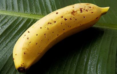 Japanci uzgajaju banane s jestivom korom